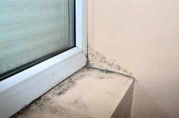 Mold removal by LUX Restoration