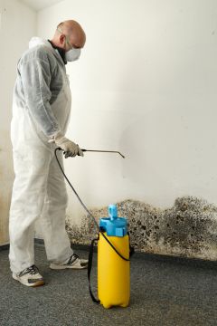 Ocean Beach Mold Removal Prices by LUX Restoration